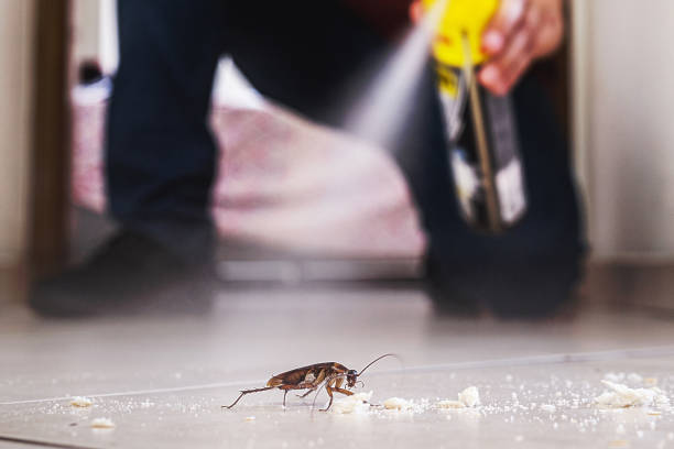 Best Pest Control Cost  in USA